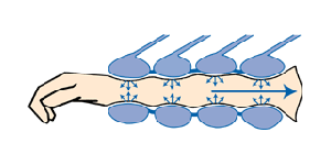 BÖSL Archiv Querschnitt Mehr-Kammer-System
