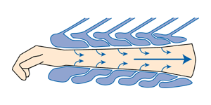 BÖSL Archiv Querschnitt Mehr-Kammer-System überlappend
